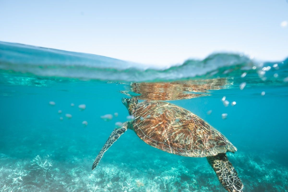 Cairns, Australia