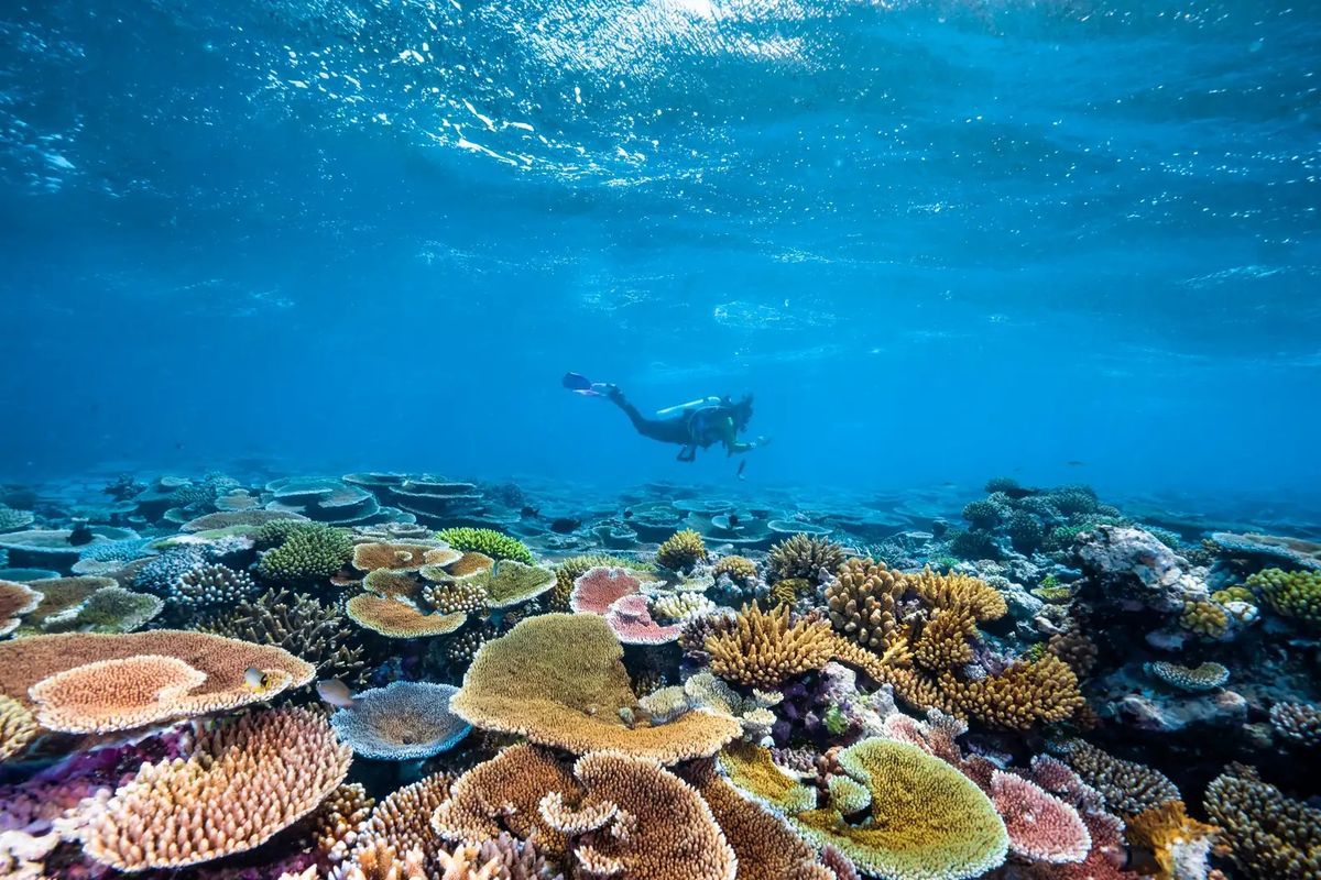 Great Barrier Reef, Australia