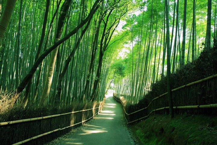 Arashiyama, Japan