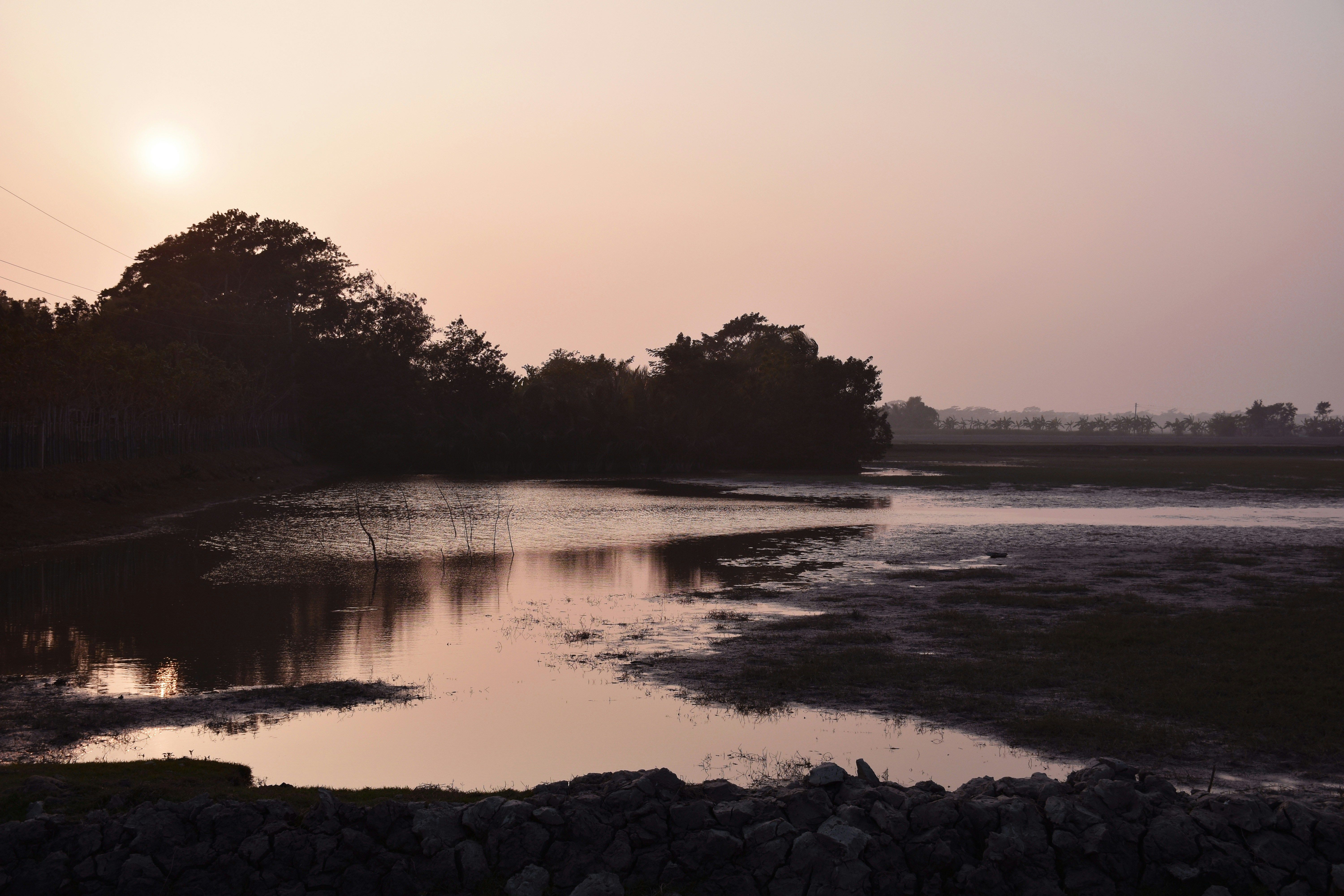 Why Sundarban Trip Should Be On Your Travel List