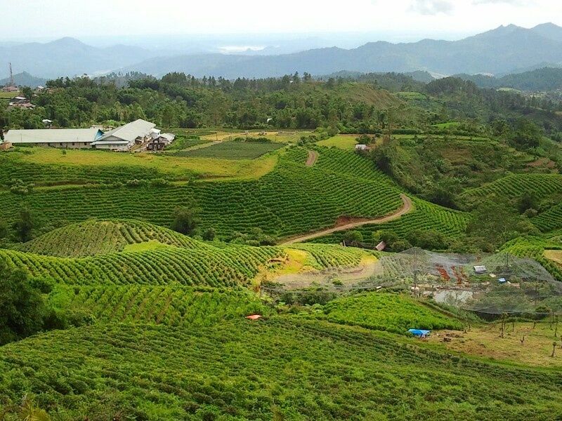 Malino, Sulawesi, Indonesia